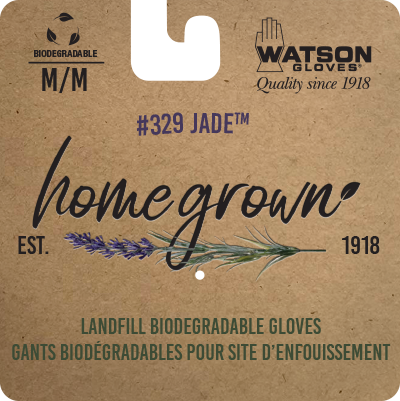 Homegrown Jade - Pack of 6