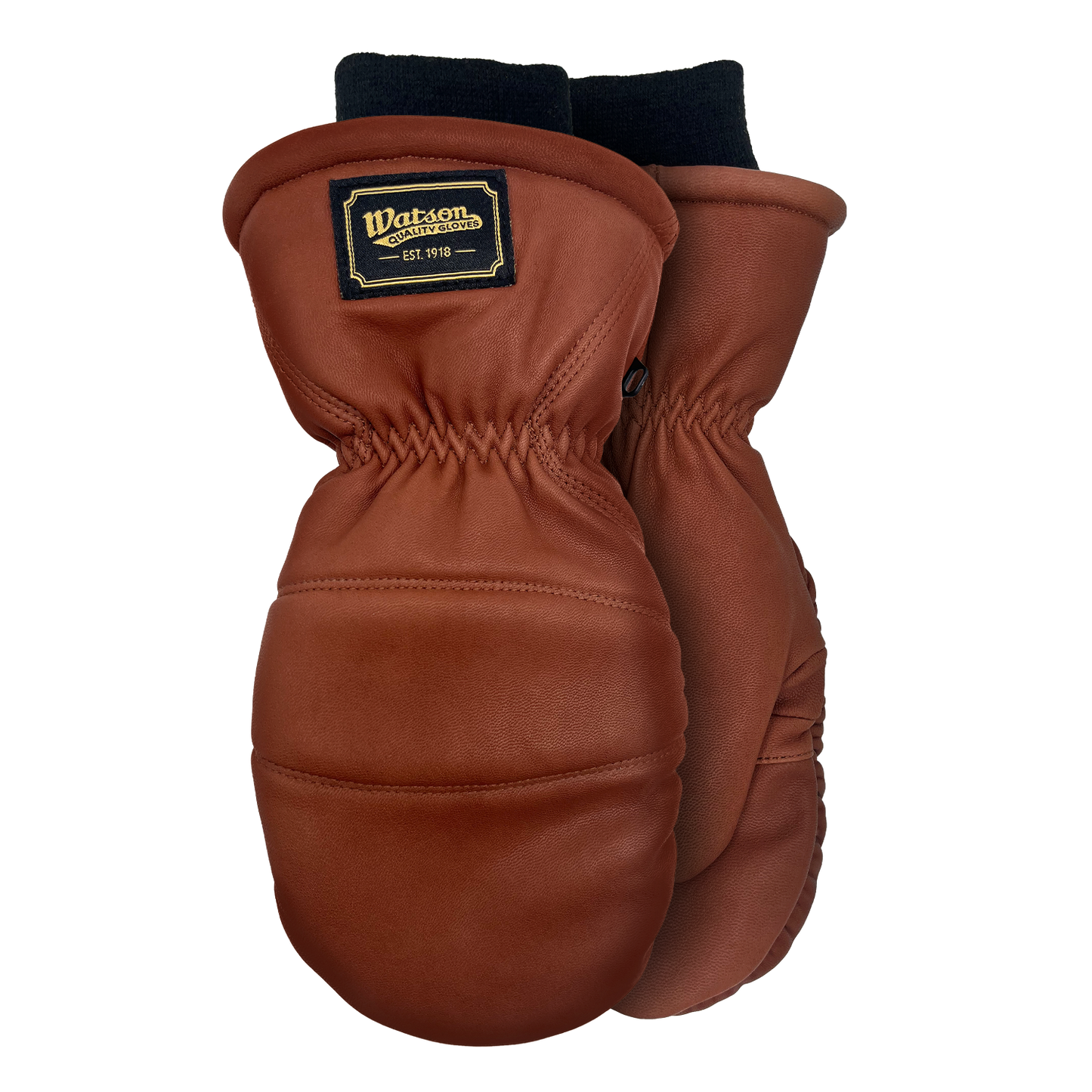 Crazy Horse - Pack of 6