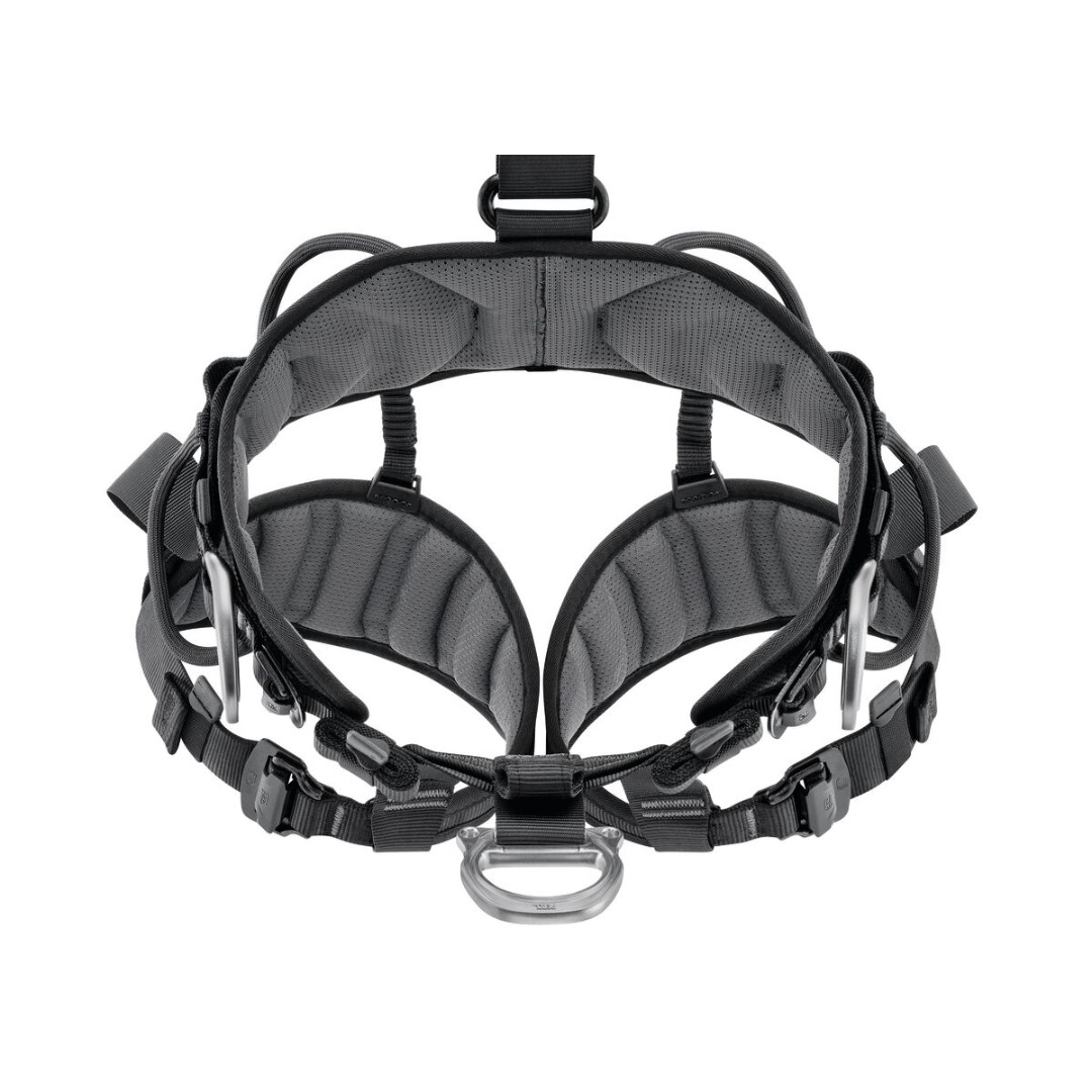 Avao International Version Harness