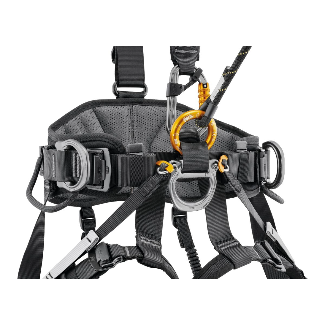 Avao International Version Harness