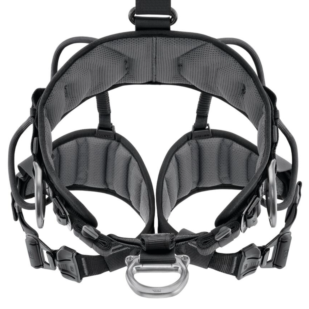 Avao Fast International Version Harness