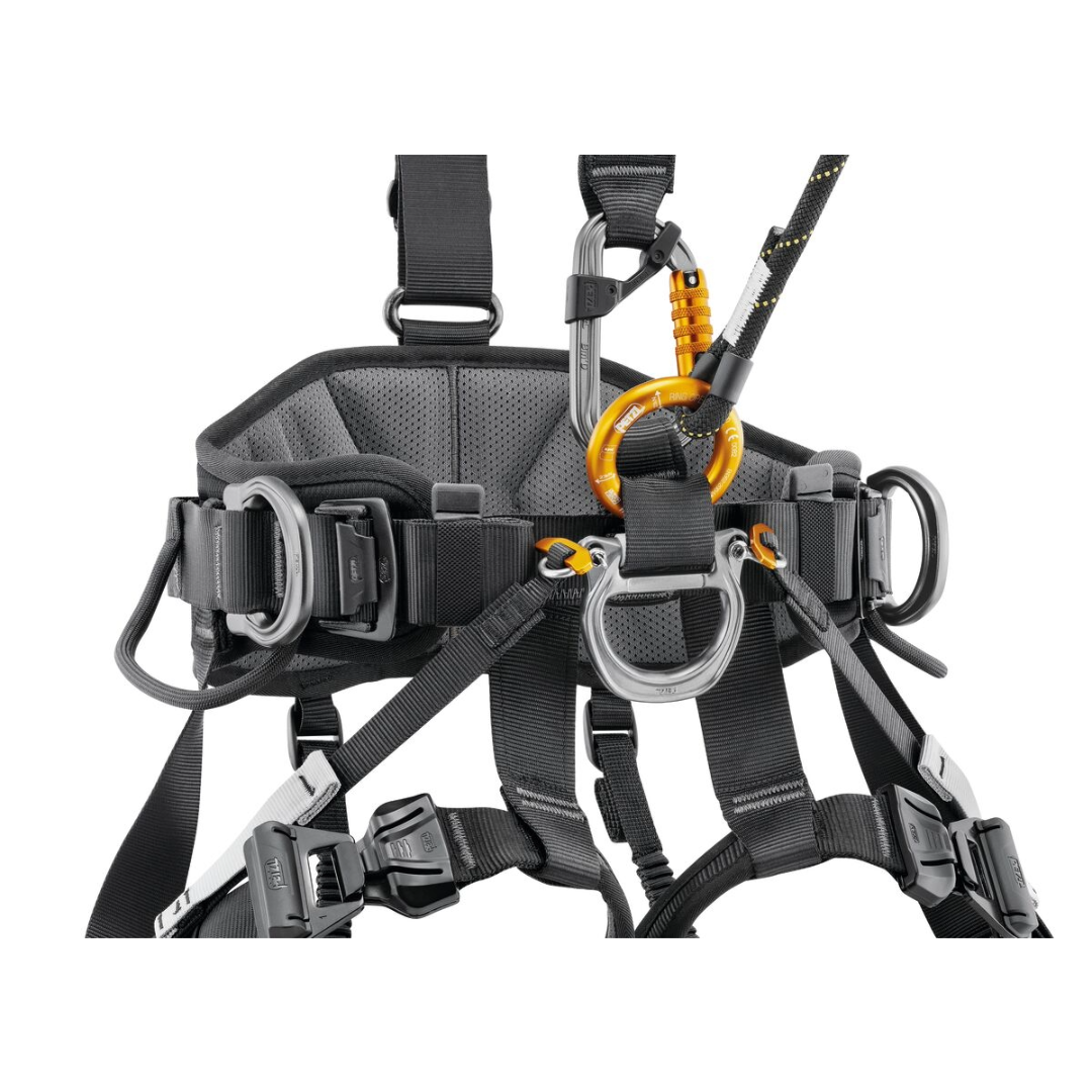 Avao Fast International Version Harness