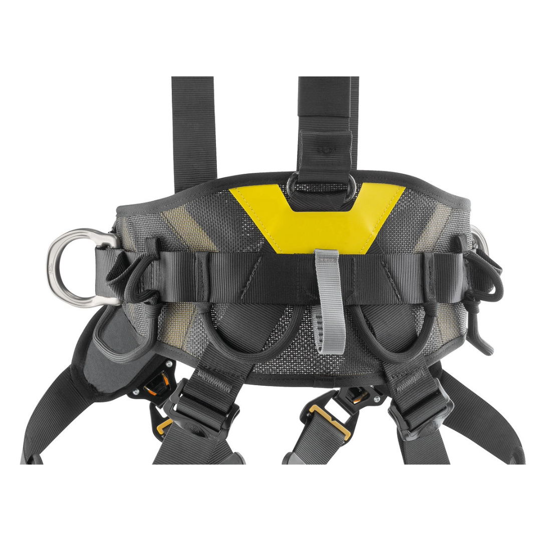 Volt International Version Harness