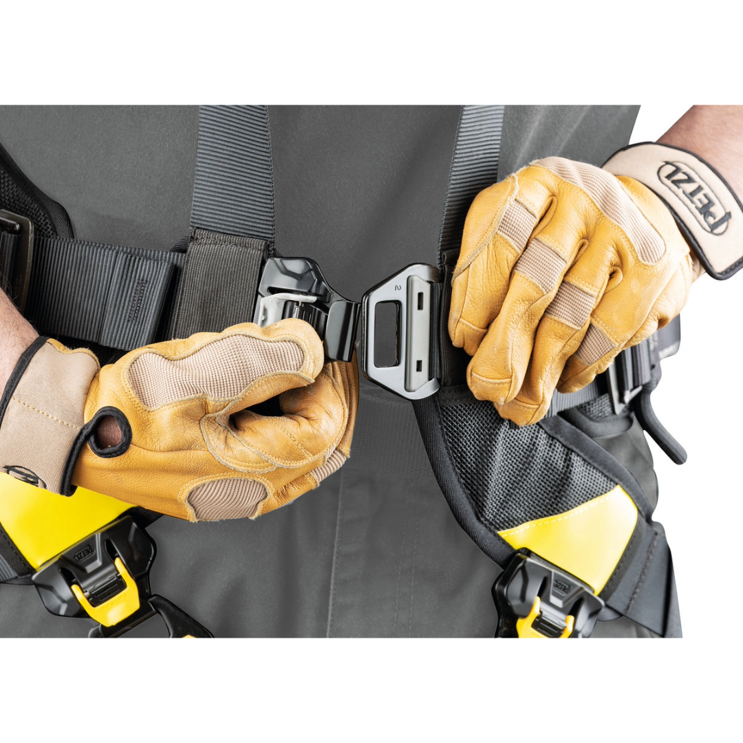Volt International Version Harness