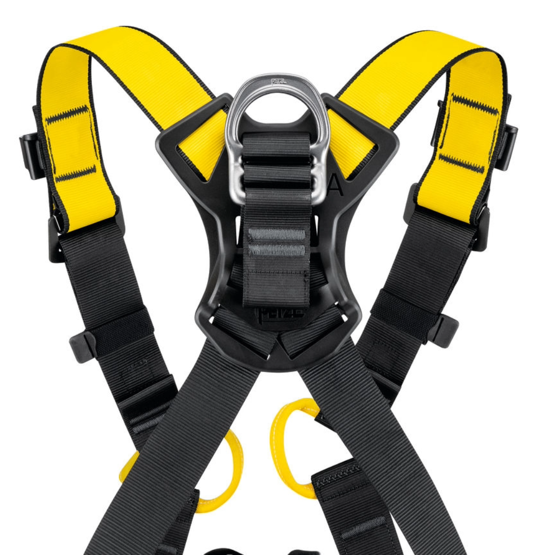 Newton International Version Harnesses