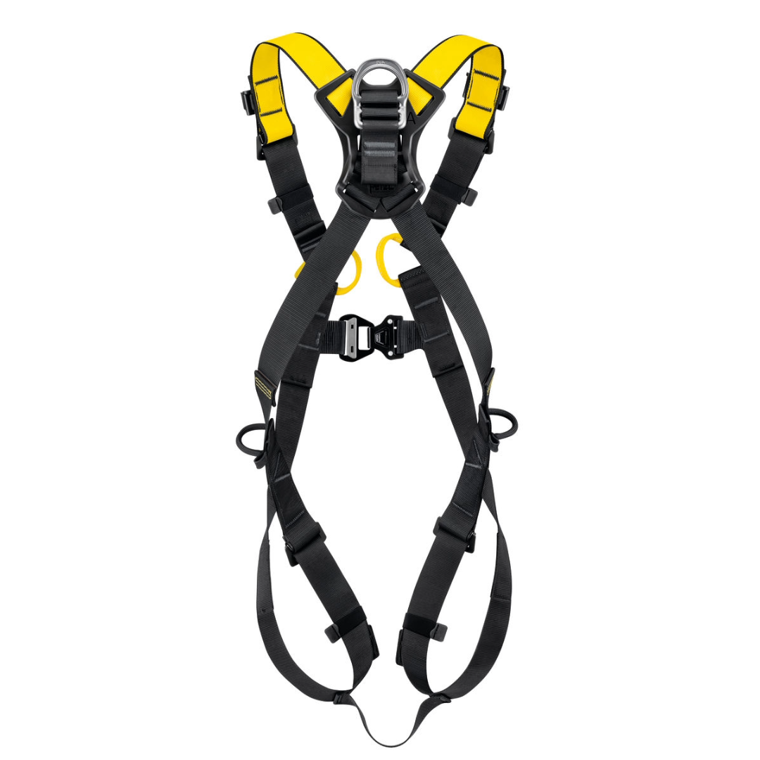 Newton International Version Harnesses