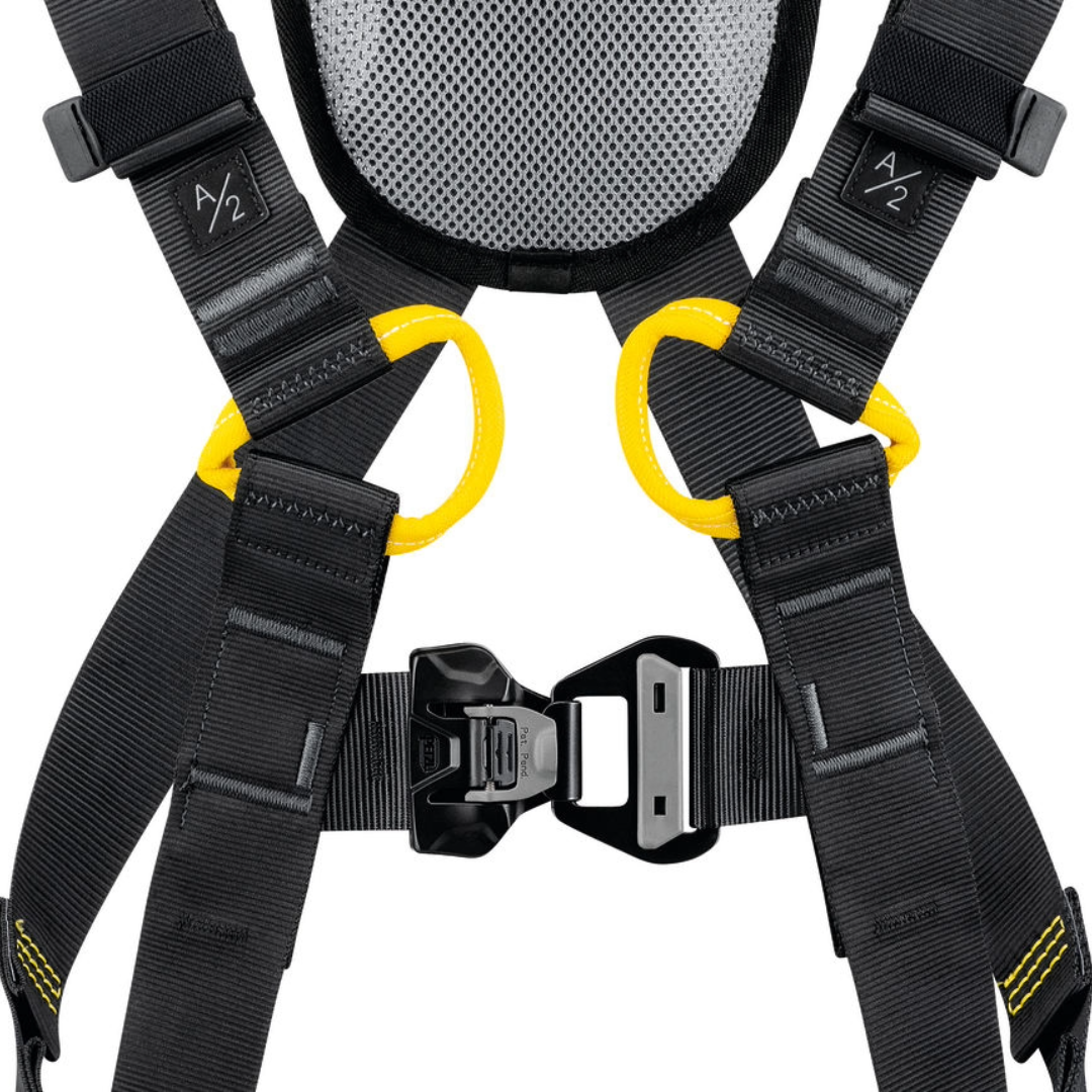 Newton Fast International Version Harness
