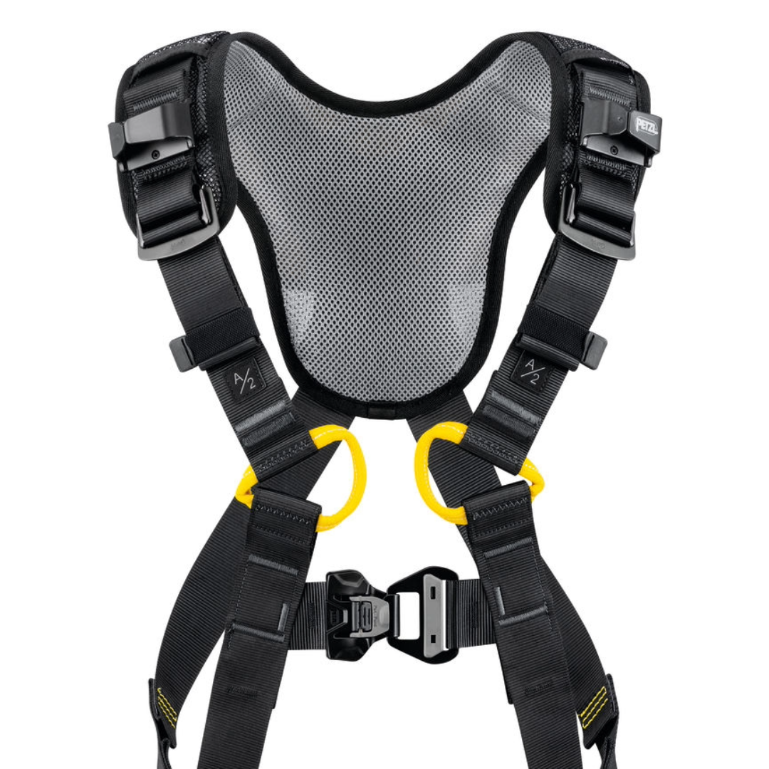 Newton Fast International Version Harness