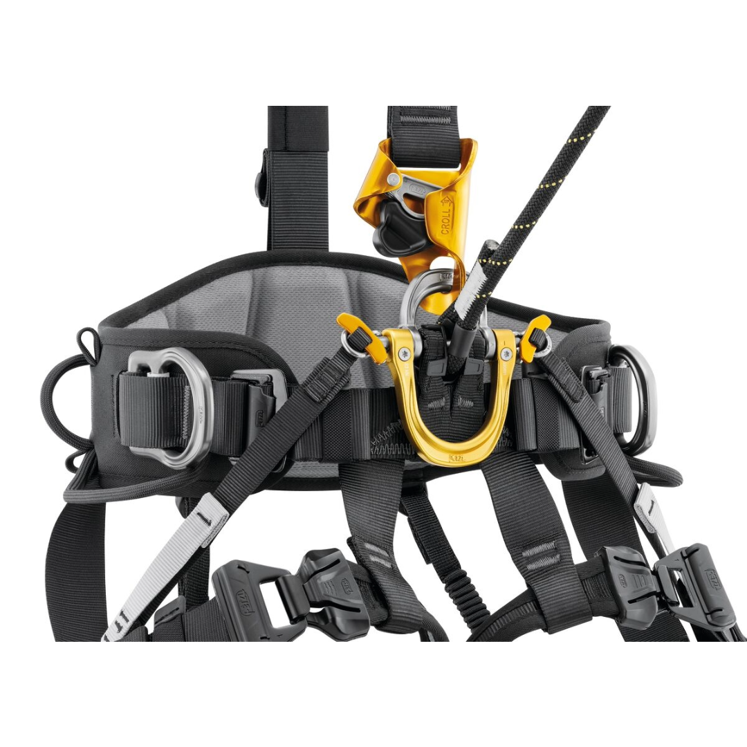 Astro International Version Harness