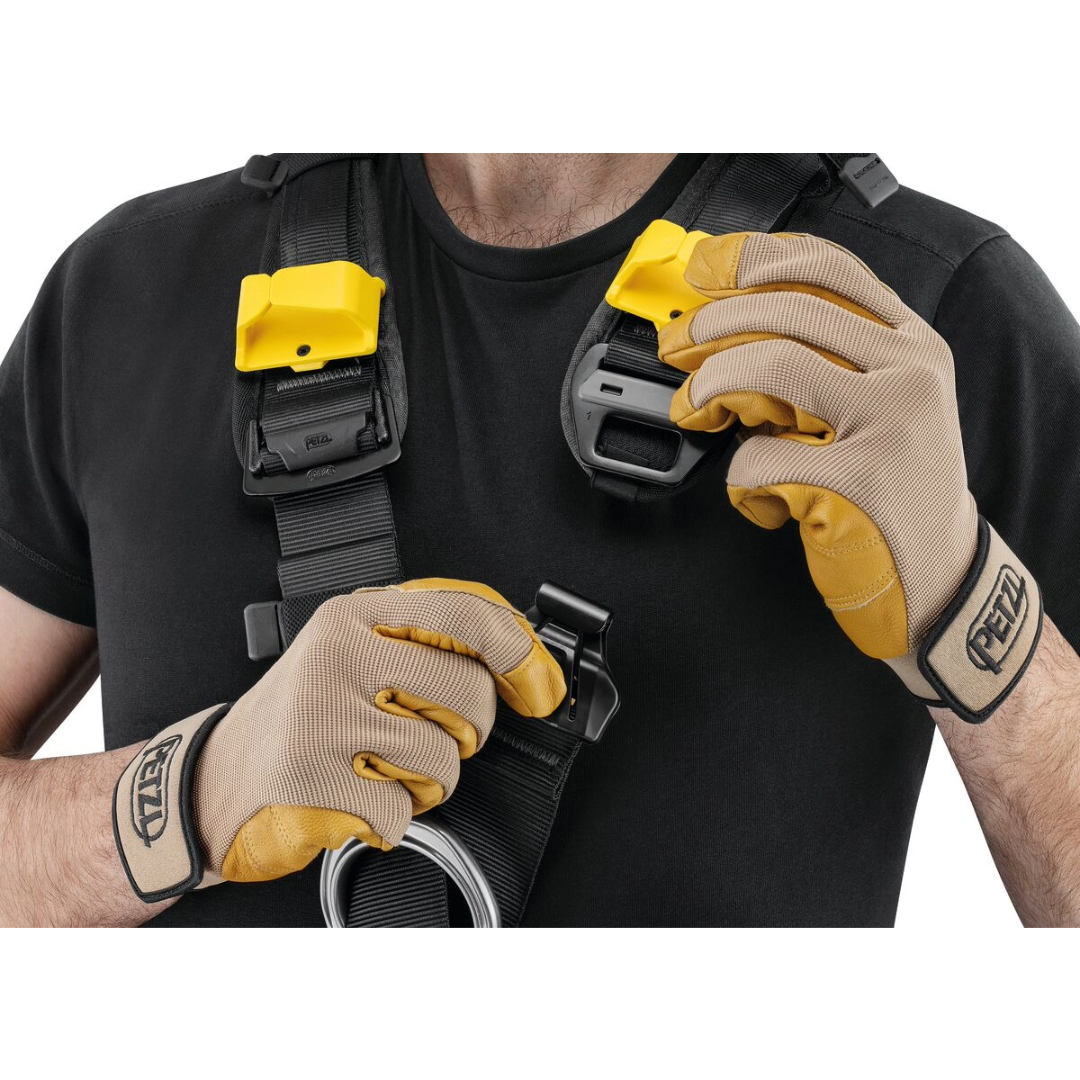 Astro International Version Harness