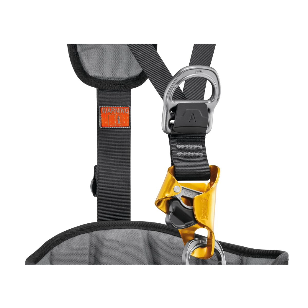 Astro International Version Harness