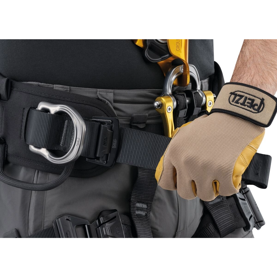 Astro International Version Harness