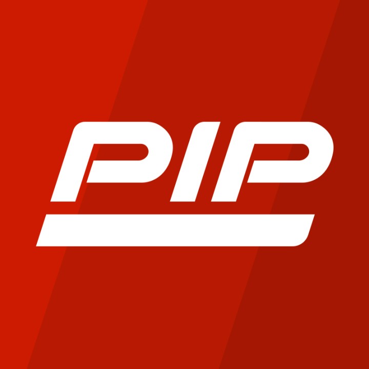 Dynamic / PIP