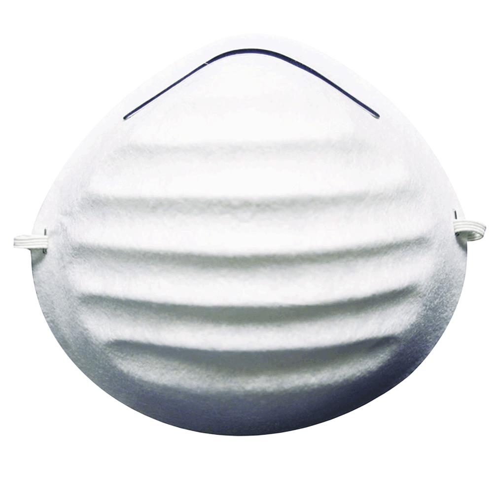 R05 Disposable Dust Mask