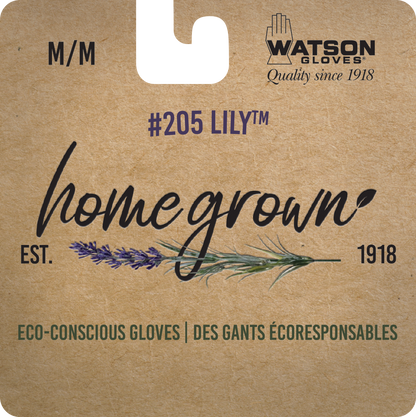 Homegrown Lily, Pack of 6