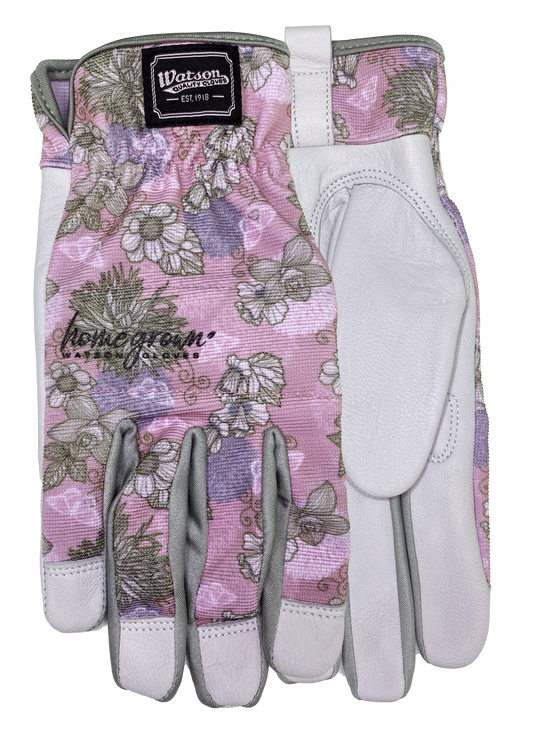 Homegrown Lily - Pack of 6