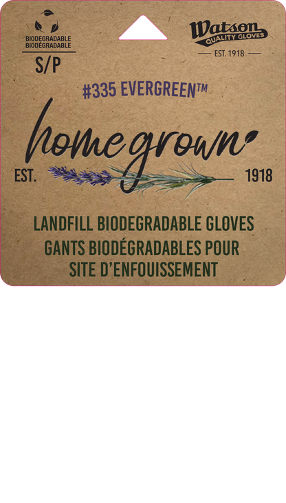 Homegrown Evergreen - Pack of 6