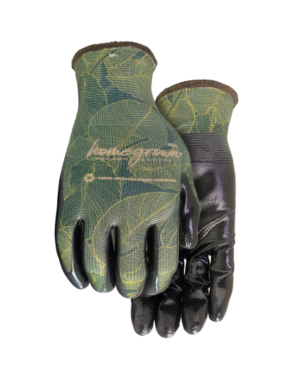 Homegrown Evergreen - Pack of 6