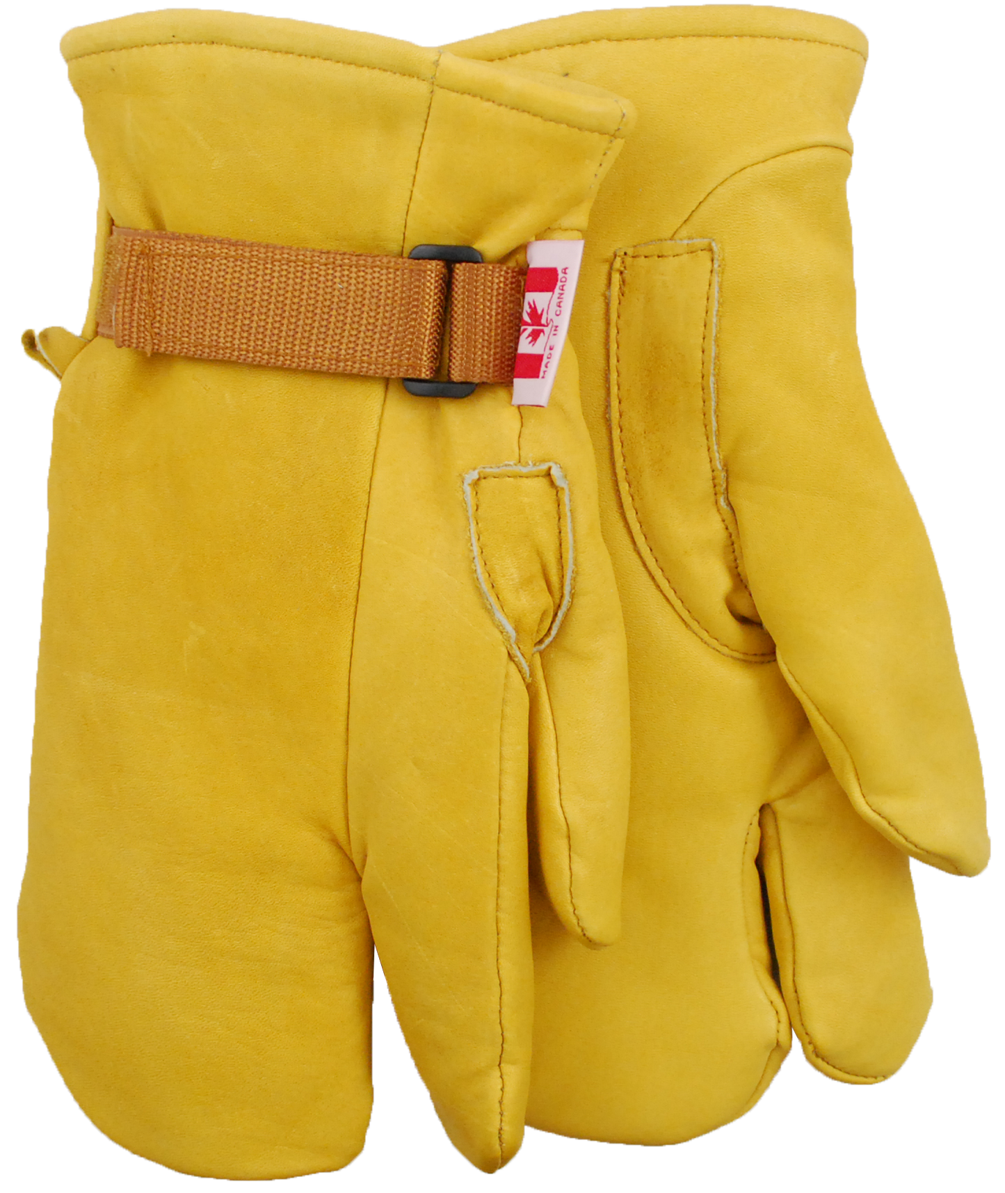 Expedition North Northern Expedition - Pack of 6