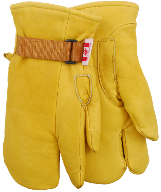 Expedition North Northern Expedition - Pack of 6