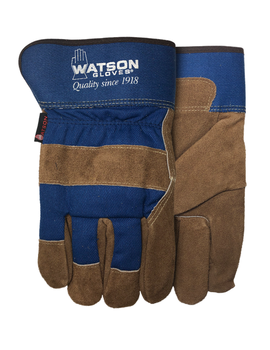 Watson Gloves North Paws - Pack of 6