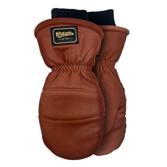 Crazy Horse - Pack of 6