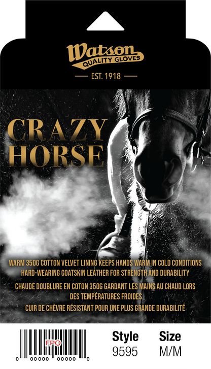 Crazy Horse - Pack of 6