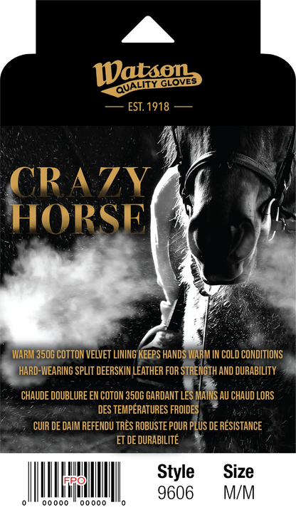 Crazy Horse - Pack of 6