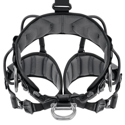 Avao Fast International Version Harness