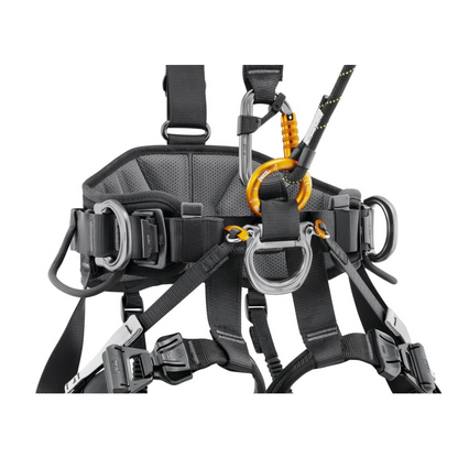 Avao Fast International Version Harness
