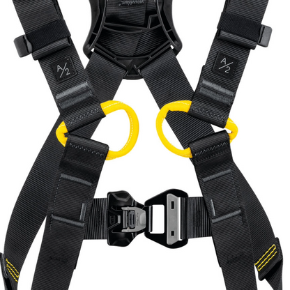 Newton International Version Harnesses