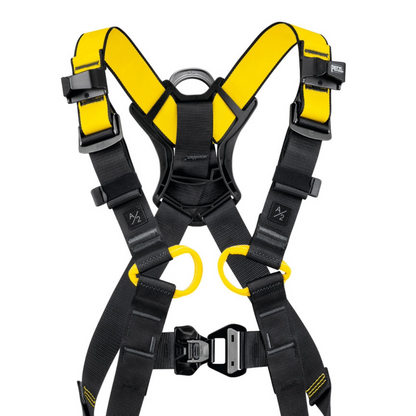 Newton International Version Harnesses