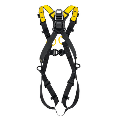 Newton International Version Harnesses
