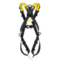Newton International Version Harnesses