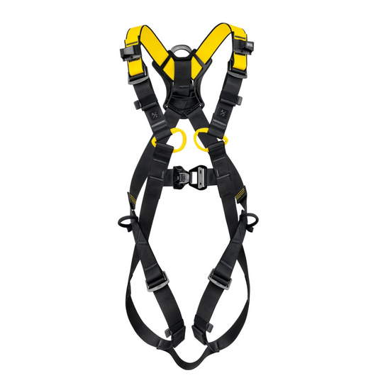 Newton International Version Harnesses