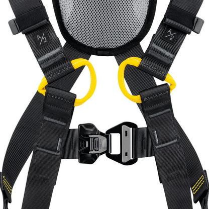 Newton Fast International Version Harness