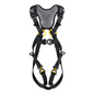 Newton Fast International Version Harness