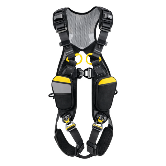 Newton Easy Fit International Version Harness