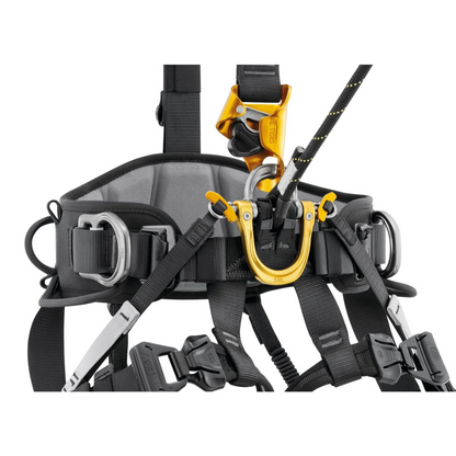Astro International Version Harness