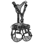 Astro International Version Harness