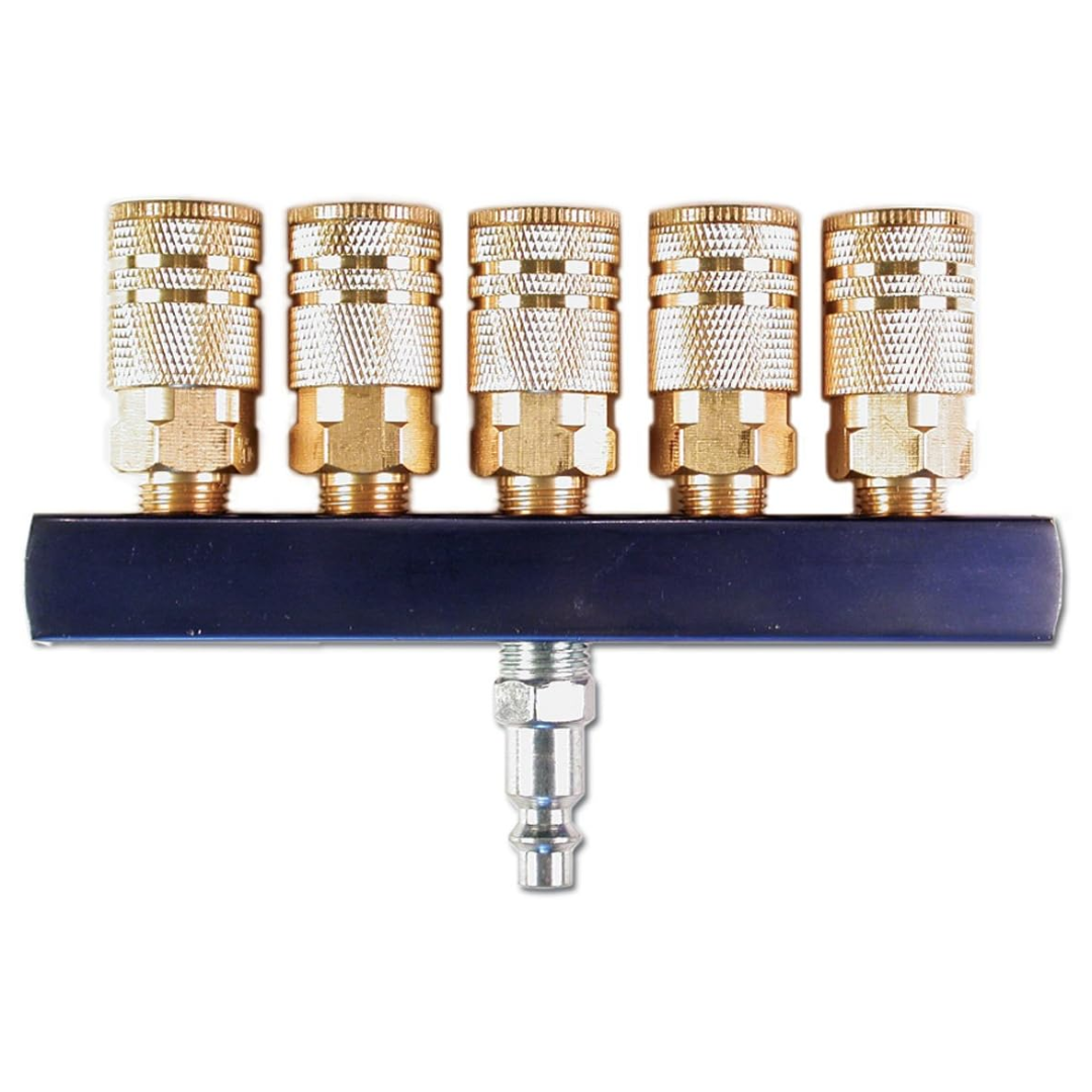 Air Systems Manifold With Hansen Fittings